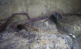 Picture6