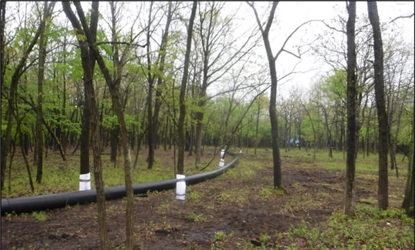 Trunk padding was used to protect trees immediately adjacent to the bypass lines.
